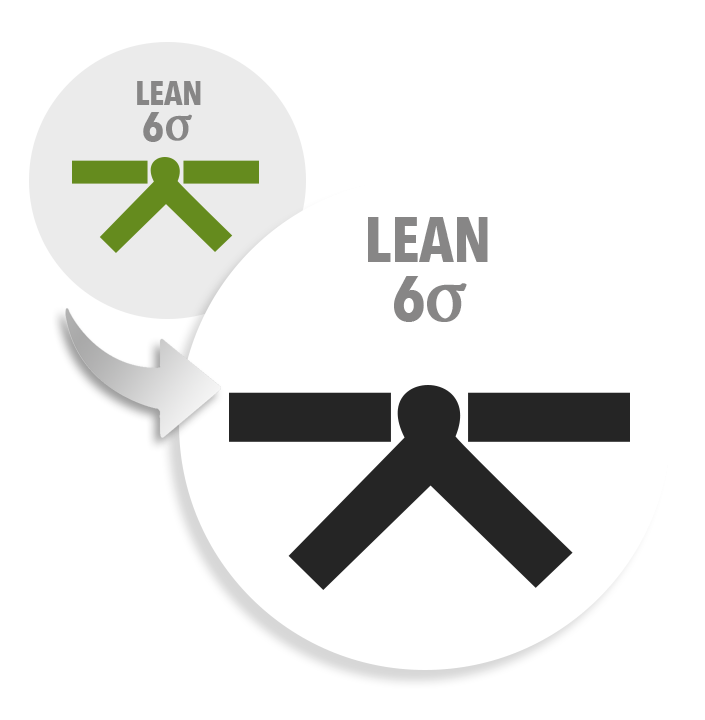 Lean Six Sigma Green Belt to Black Belt Upgrade