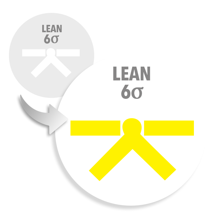 Lean Six Sigma White Belt to Yellow Belt Upgrade